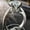 White Gold Color, variant on Womens Ring with Zircon Inlaid Four-Claw Bud Artificial Diamond and Geometric Design for Fashion Jewelry or a European American Look