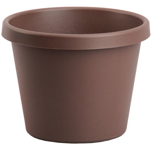 24 Clay Classic Plant Saucer
