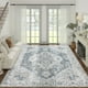 thumbnail image 1 of Alfombra Area Jinchan, lavable, vintage, 240 x 300 cm, chenilla gris, 1 of 8