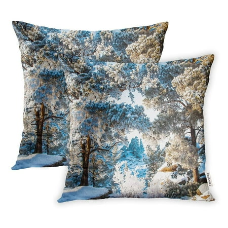 

ARHOME Blue Adventure Winter Snow Covered Forest Trees Pine Branches Scene Alps Pillowcase Cushion Cases 16x16 inch Set of 2