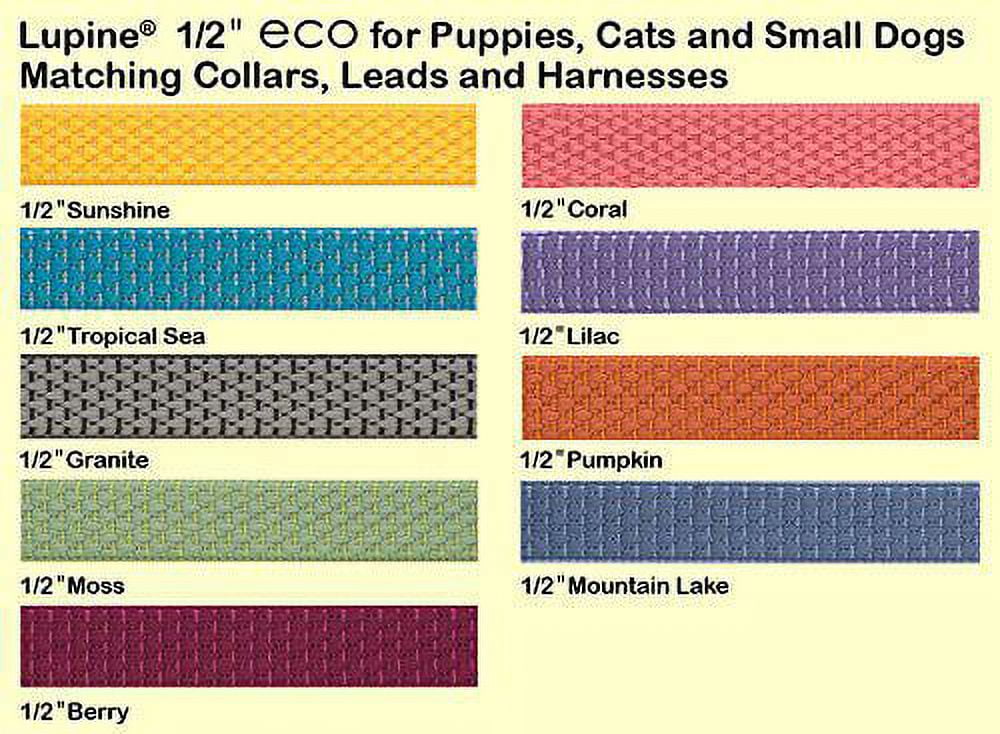 1/2in Tropical Sea 6ft Dog Leash