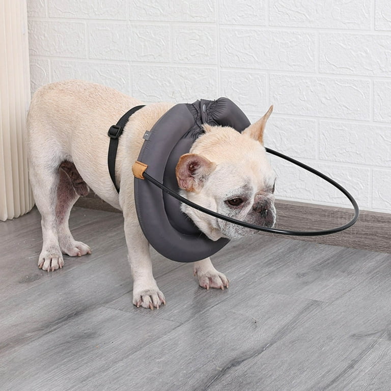 Blind dog collar bumper online