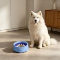 thumbnail image 4 of Convertible Slow Feeder Dog Bowl, 7.87 Inch Regular and Slow Mode for Fast Eaters, Anti-Bloat Interactive Puzzle Non- for Small Medium Large Dogs Cats, Seasonal Decor, Sky Blue, 4 of 4