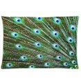 thumbnail image 1 of RYLABLUE Taies d'Oreiller Design Plumes de Paon Créatives 20x30 Pouces Impression Recto-Verso, 1 of 1