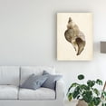 thumbnail image 3 of Trademark Fine Art 'Watercolor Seashell II' Canvas Art by Melissa Wang, 3 of 3