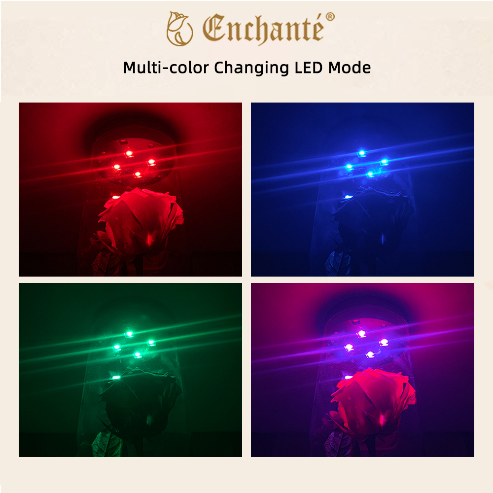 8.5" Enchante Forever Rose Touch Night Light Preserved Flower LED Lamp, Red