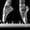 Piano Ballet, variant on Elephant Stock Play The Saxophone Wall Art - Vertical Multi Panel Canvas - Living Room Wall Decor - Music Multi Panel - Gray And Black Decor - 20" x 32"