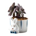thumbnail image 1 of Ceramic Flowerpot Flowerpot Animal Cartoon Ceramic Multi-color Vertical Garden Pots for Home, 1 of 6