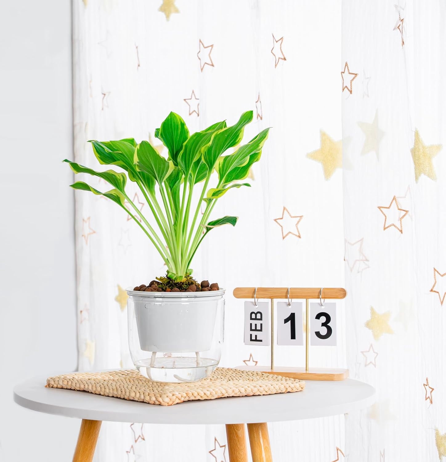 2 Pack Self Watering Hanging Planters Indoor Flower Pots, 6.5 Inch Outdoor Hanging Basket, Plant Hanger with Hooks Drainage Holes for Garden Home