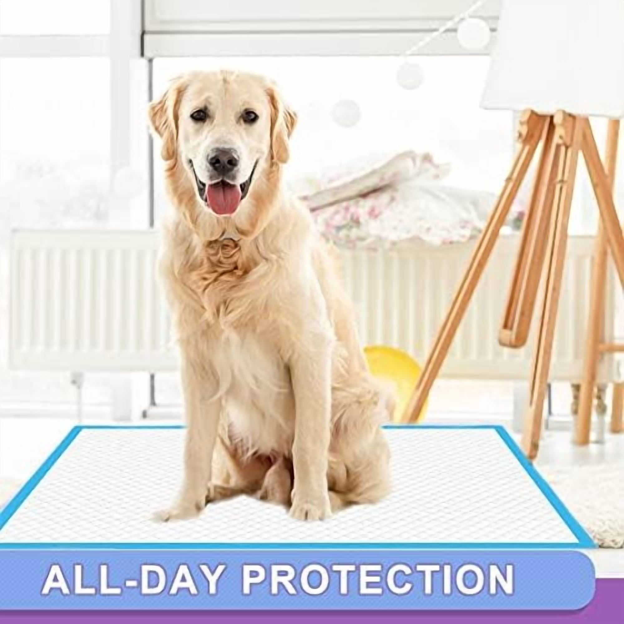 Puppy Pee Pads 22"x23"-80Count | Dog Pee Training Pads Super Absorbent & Leak-Proof | Disposable Pet Piddle and Potty Pads for Puppies | Dogs | Doggie| Cats | Rabbits