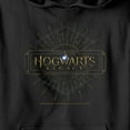 thumbnail image 2 of Boy's Hogwarts Legacy Art Deco Logo  Pull Over Hoodie Black Medium, 2 of 4