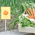 thumbnail image 4 of Eveokoki Farming Vegetable Garden Sign Onion Sign with Stake 8x12inch Aluminum Outdoor Decoration Sign Rustproof Sturdy Aluminum Sign for Outdoor Use Easy Install Set of 1, 4 of 6