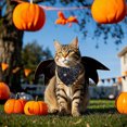 thumbnail image 4 of Bufanda de Halloween para mascotas, collar para perro, babero, bufanda estampada para mascotas, bufanda de poliéster, 4 of 6