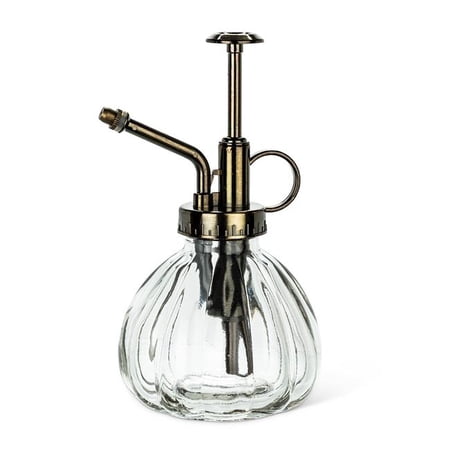 Abbott Collections AB-20-MR-CLEAR 6 in. Clear Plant Mister  Clear