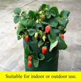 thumbnail image 4 of El jardín colgante crece los bolsos del libro de hierbas de la flor de la fresa del tomate de los bolsos la fresa de 3 galones crece la hierba del PE de los bolsos, 4 of 5