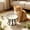 White,C, variant on Elevated Ceramic Cat Bowl With Metal Stand Anti Tip Pet Food Water Bowl Cute Pattern Raised Feeding Dish For Small Medium Cats Dogs Prevent Neck Strain Indoor Pet Feeder