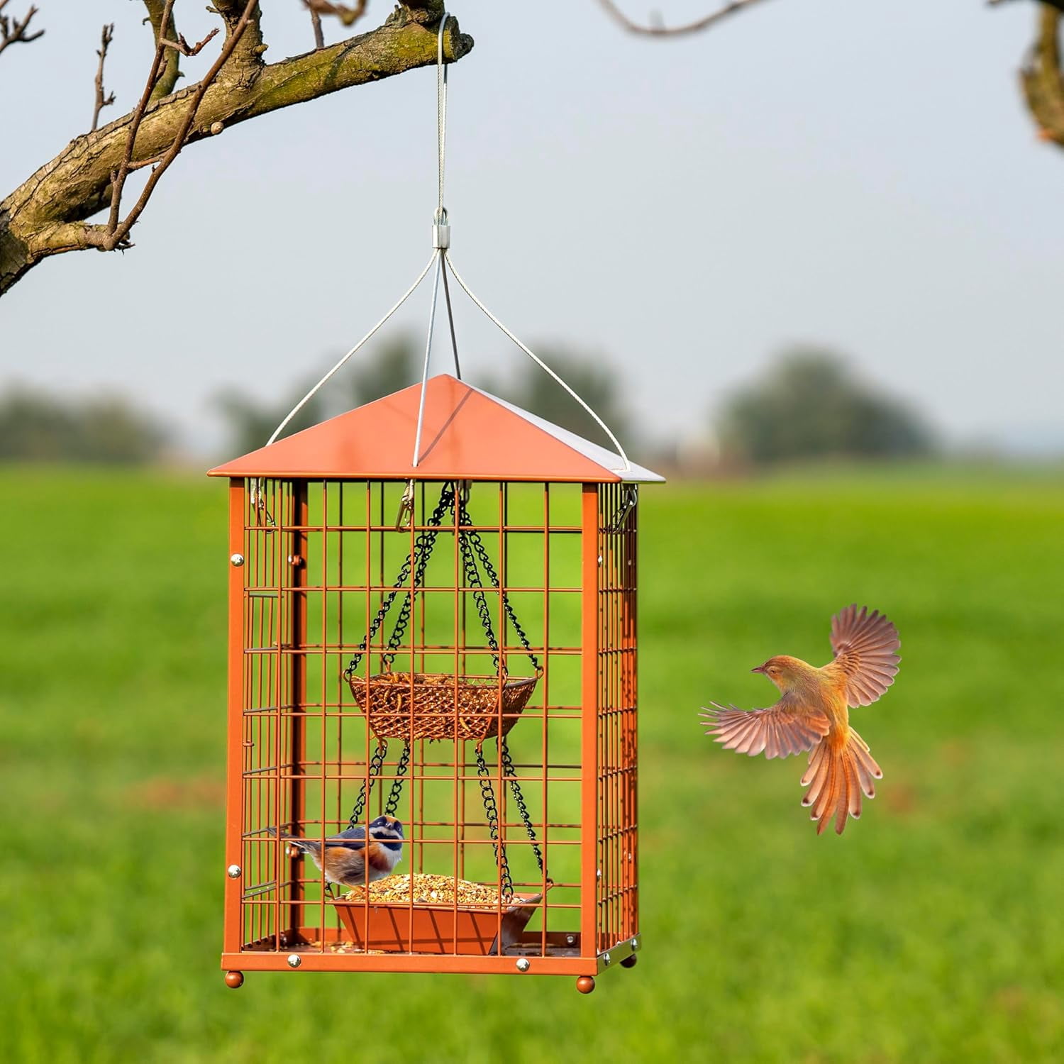 Bird Feeders for Bluebirds - Metal - Huge Caged Squirrel-Proof Bird Feeders with 2 Cups, DIY Wild Bird Feeders Outdoor Hanging (Brown), Attract Wild Birds, 2lbs Seed Capacity+1  Cup