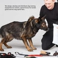 thumbnail image 4 of Nylon Dog Training Leash, Slip Choke Control for Outdoor Walking and Training, Dog Leash Rope, 4 of 7