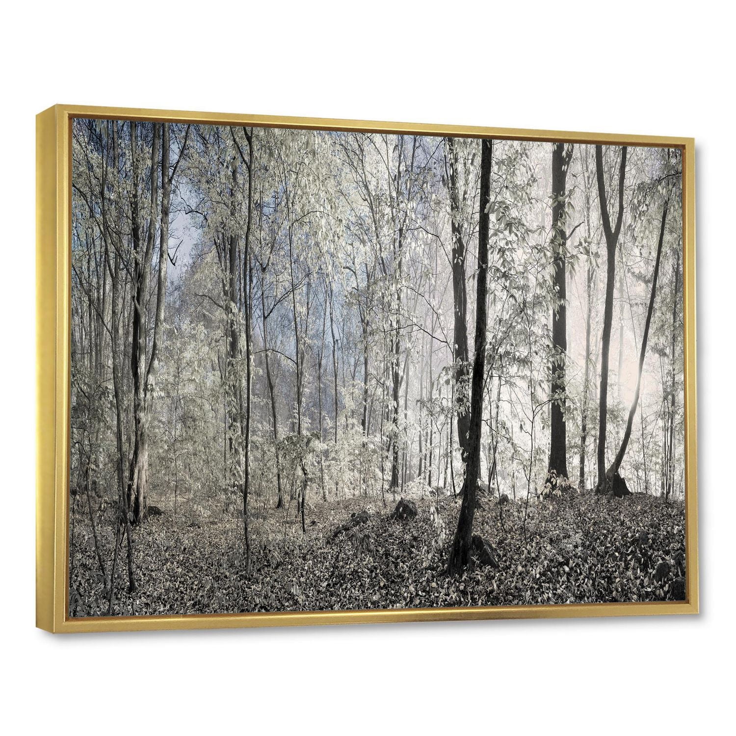 Designart Dark Morning in Forest Panorama FLOAT FRAME WALL ART