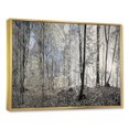 thumbnail image 2 of Designart Dark Morning in Forest Panorama FLOAT FRAME WALL ART, 2 of 3