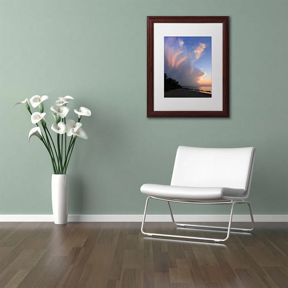 Trademark Fine Art "Developing Sunset Storm" Canvas Art by Kurt Shaffer White Matte, Wood Frame