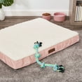 thumbnail image 2 of Vibrant Life Therapeutic Pet Dog Bed, 40x30, 2 of 5