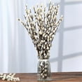 thumbnail image 6 of 20 Pack Natural Preserved Dried Pussywillow Branches,Snow Pussy Willow,Real Dried Flowers with White Buds,Vase Fillers & Decorative Branches,for Home DIY Floral Wedding Party Decor 16", 6 of 7