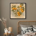thumbnail image 4 of Framed Canvas Print Botanical Wall Art Vintage Fruit Decorative for Kitchen - 24"x24" BLACK, 4 of 8
