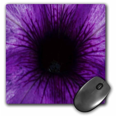 3dRose  Purple Petunia  MousePad price history on PriceWatchPro