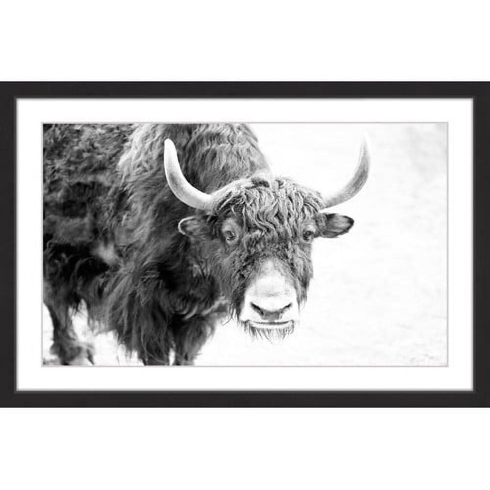 Marmont Hill "Buffalo Forward" Framed Painting Print