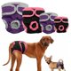 thumbnail image 1 of Pañales lavables para perros, pañales reutilizables para perros, superabsorbentes y cómodos, 1 of 4