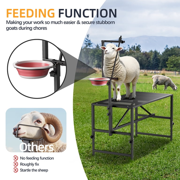 Fenbeli Goat Trimming Stand with Feed Bin, 600 lbs Capacity
