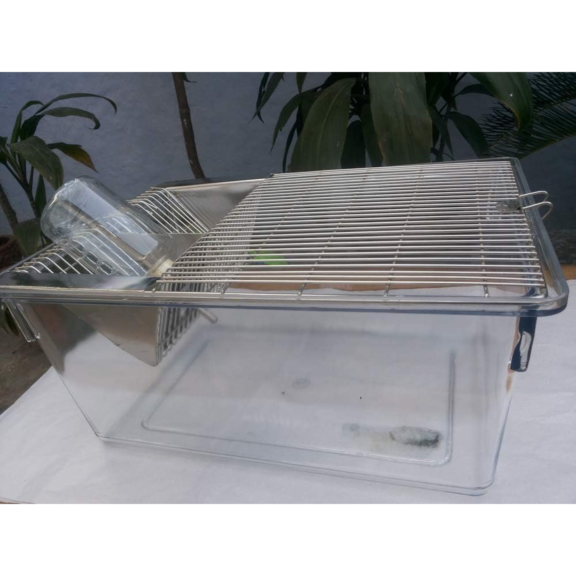 Lab Animal Cages Transparent Polycarbonate for Rat/Mice