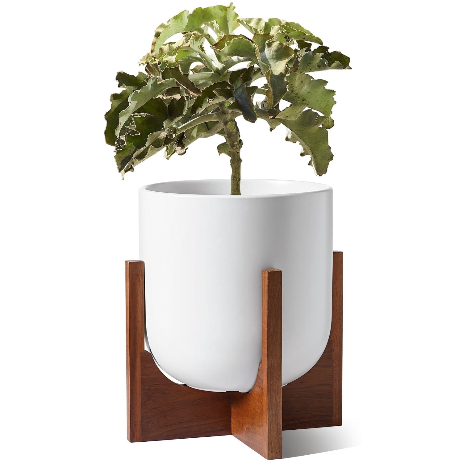 BEMAY 10inch  White Ceramic Plant Pot with Wood Stand, Indoor Planter with Drainage Hole and Plug, Modern Flower Pot for Houseplants, Living Room Decor
