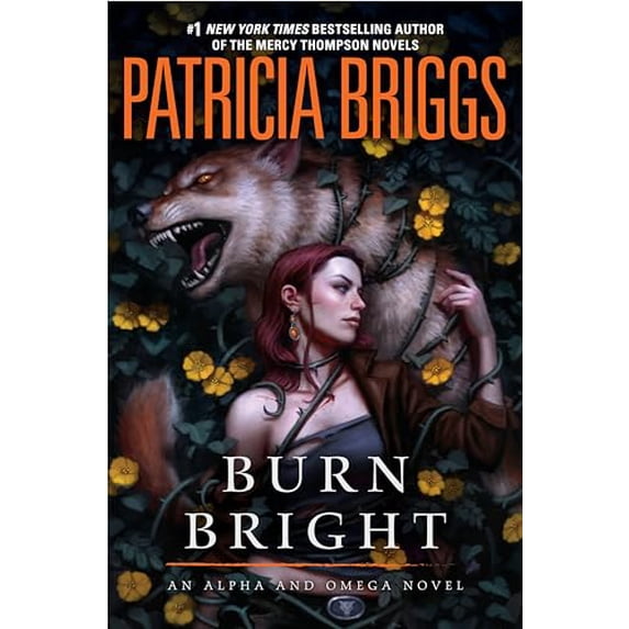 Pre-Owned Burn Bright (Hardcover) 0425281310 9780425281314