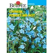Burpee Firmament Chinese Forget-Me-Not Flower Seed, 1-Pack