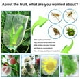 thumbnail image 4 of 100Pcs Garden Plant Fruit Protect Drawstring Net Bags Against Insect Pest Bird, 4 of 8