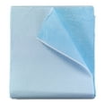 thumbnail image 2 of Tidi Everyday Stretcher Sheet Blue 40 X 90 Inch 980928 50 per Case, 2 of 4