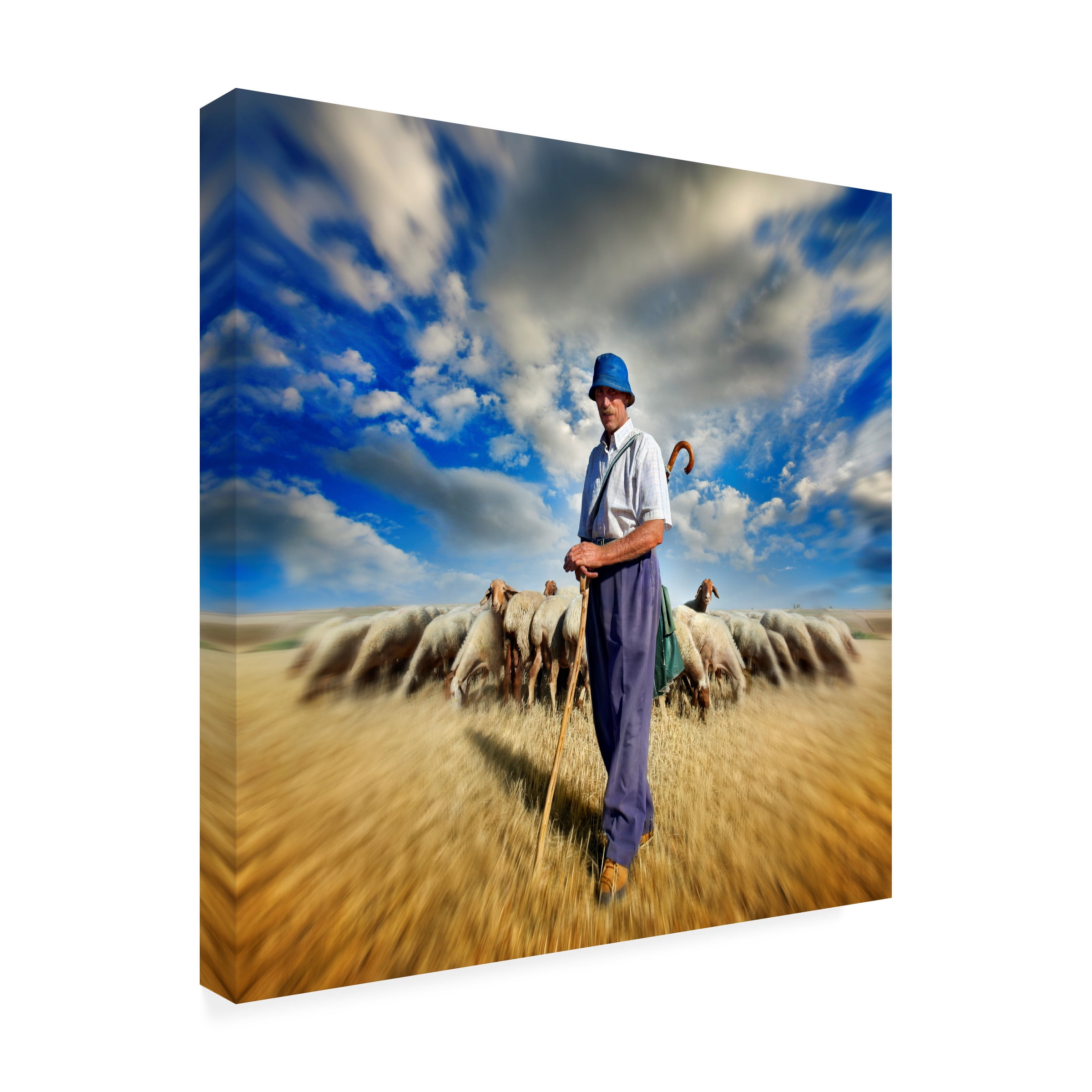 Ben Heine 'The Shepherds Call' Canvas Art