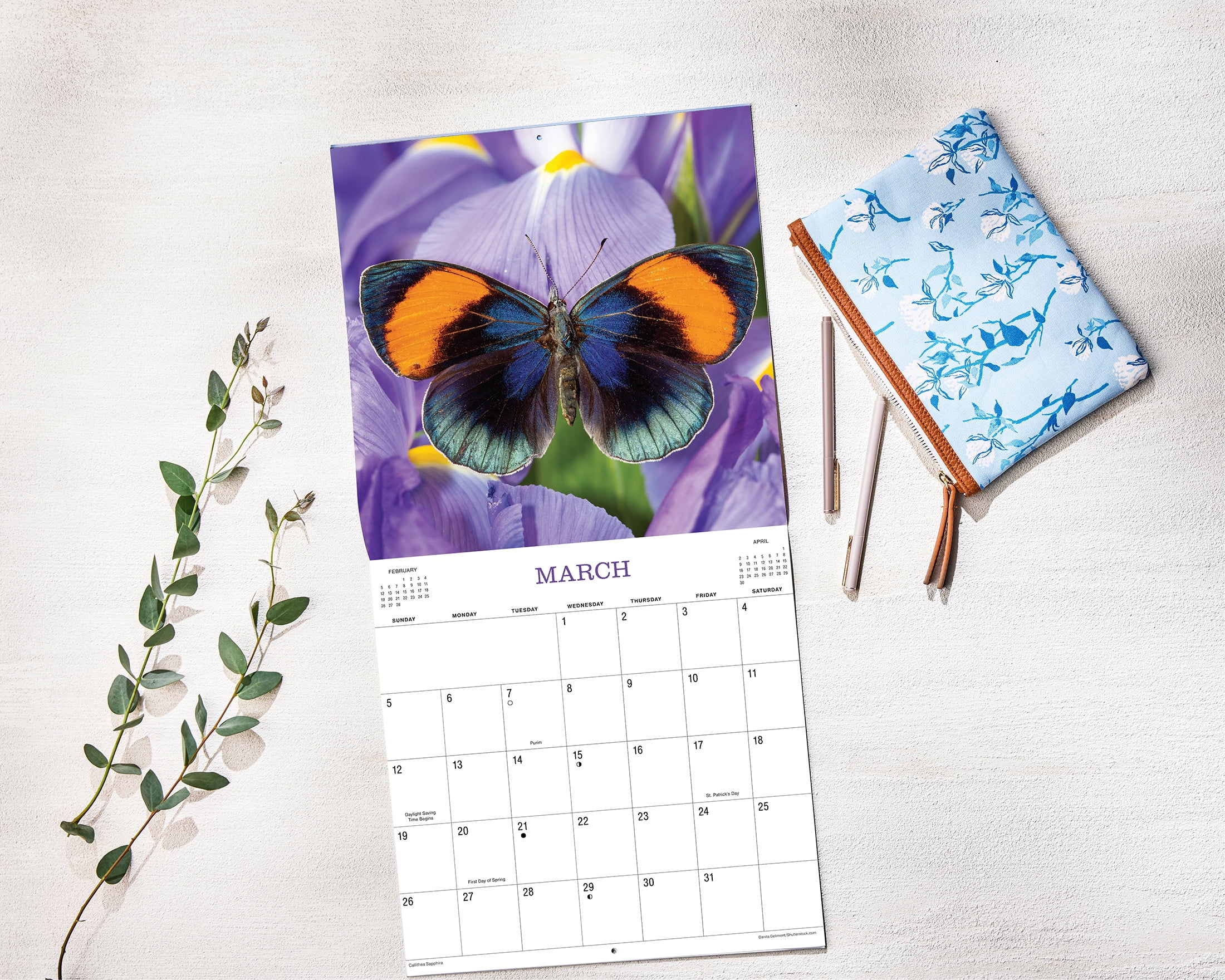 2023 - 12 Month Calendar-Butterfly- 12x12 Hanging Wall Calendar by DaySpring