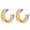 Gold, variant on Rainbow LGBT Pride Earrings Stainless Steel Rainbow Huggie Ear Studs for Women Gay Lesbian Pride Earrings Jewelry Gold