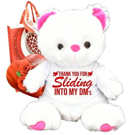 Thank You For Sliding Into My DM's! Valentines Day Gift Teddy Bear Gift Bag Chocolates