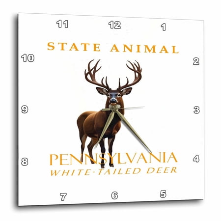 3drose, Pennsylvania Territory Animal the Whitetail Deer, 10x10 Wall Clock