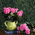 thumbnail image 3 of Vickerman 17.5" Pink Polyester Geranium Bush X 12 With 96 Leaves And 115 Flowers And Buds, 3 of 4