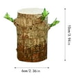 EKKIMIMI Brazilian Wood Lucky Wood Brazilian Wood Hydroponic Plant