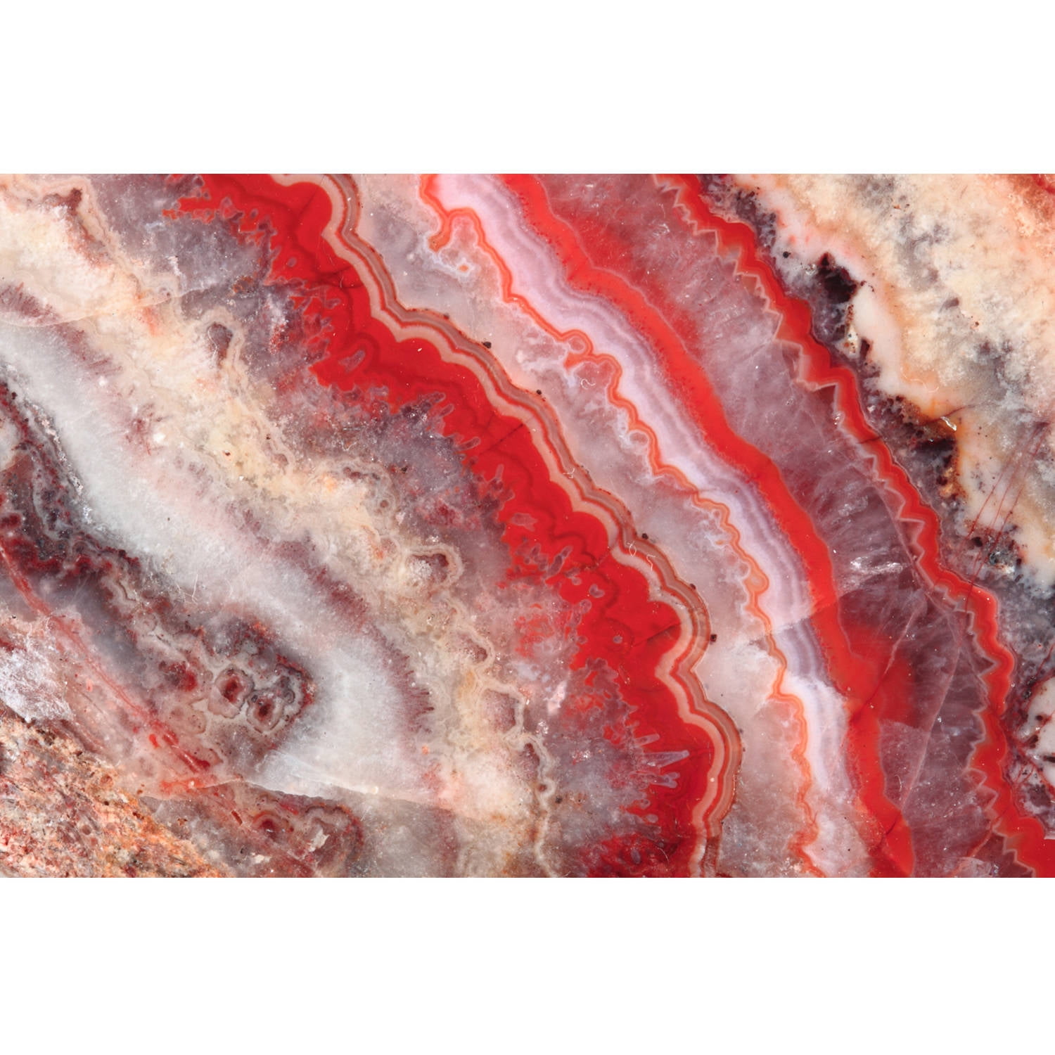 Marmont Hill "Red Rhodochrosite" Painting Print on Wrapped Canvas