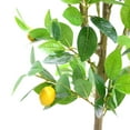 thumbnail image 5 of 5ft Artificial Lemon Tree with Realistic Trunks and Leaves, Fake Pre Potted Fake Lemons Floor Plants, Easy Assembly, Low Maintenance, Ideal for Home Office Porch Decorations, 5 of 7