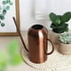 thumbnail image 5 of Regadera de acero inoxidable para plantas de interior y exterior, 1,3 l (40 oz), color bronce, 5 of 8