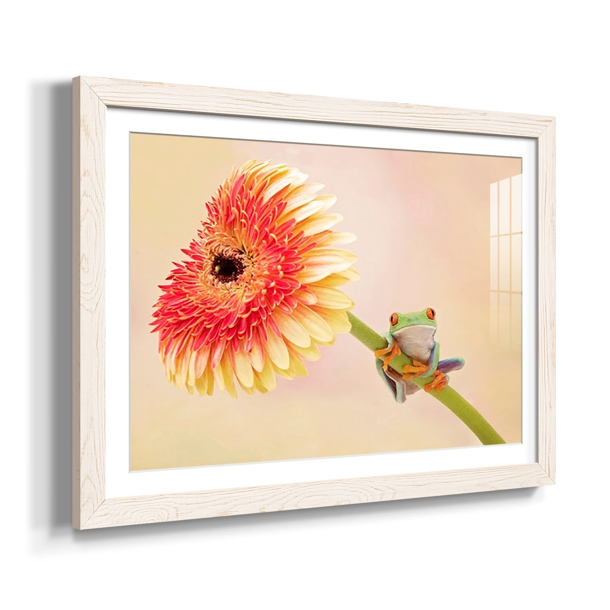 Hanging On IX-Premium Framed Print - Ready to Hang