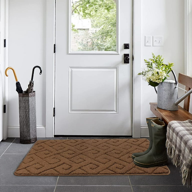 Walensee Indoor Doormat, Front Door Mat for Entrance, 36x59 Brown 
